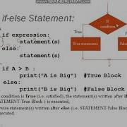 Python 8 Conditional Statement If Else Part 2