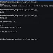 Decrypting Packed Python Code PicoCTF 2022 28 Unpackme Py