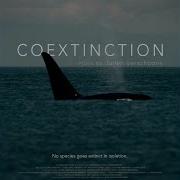 The Orca Pt 2