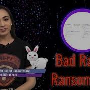 InfoLoop Ep 5 Bad Rabbit Ransomware
