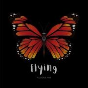 Flying