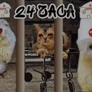24 ЧАСА В ПСИХУШКЕ У КЕВИНА ПРОБЛЕМЫ