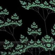 Octet C And OpenGL L Systems Assignment