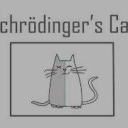 Schrödinger S Cat A Thought Experiment In Quantum Mechanics Chad Orzel