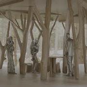 TREE FORM VIDEO 1080p With 24fps
