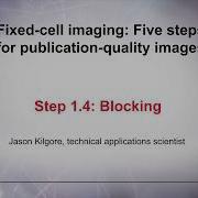 1 4 Blocking Fixed Cell Imaging 5 Steps For Publication Quality Images