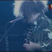 MELVINS Houdini Live In London 2005