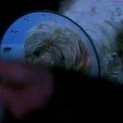 Dean Jeffrey Shut Your Lights Out S7E15
