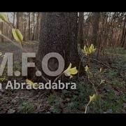 O M F O Siberian Abracadabra Сибирская Абракадабра Video Alex BF