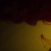 Makina Lambaste Promotional Teaser