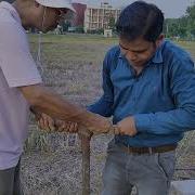 Bulk Density Sampling