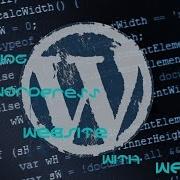 Scanning Wordpress Websites Using WPSCAN By N1gh7m4r3