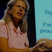 Stroke Of Insight Jill Bolte Taylor