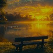 The Ambientalist Gentle Touch