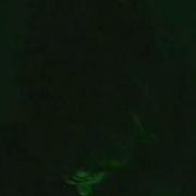 High On Fire To Cross The Bridge Live PROSHOT