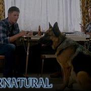 Collection Most Epic Supernatural Moments Part 1 Supernatural