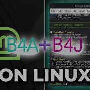 Install B4X With Wine On Linux Mint Using Script