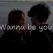Arctic Monkeys I Wanna Be Yours Lyrics