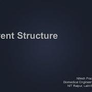 Event Structure