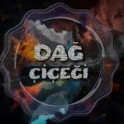 Vedat Sakman Dağ Çiçeği