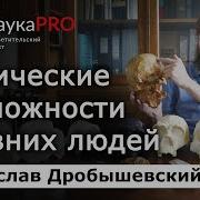 Физические возможности древних людей Станислав Дробышевский Лекции по антропологии Научпоп