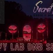 Ivy Lab DnB Set Secret Dreams 2024