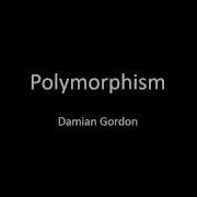 Python Polymorphism
