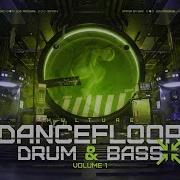 Dancefloor Drum Bass Vol 1 1000 Dancefloor Samples Presets