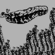 Comp Excerpt Experimental Electronic Noise Kraut Rock 2025