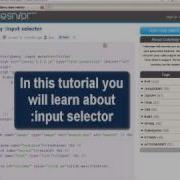 JQUERY Tutorial JQuery Input Selector