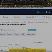 Introduction To Benchling