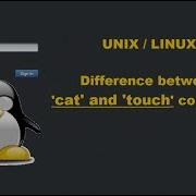Difference Between Cat And Touch Linux File And Directory Management