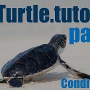 Python Turtle Tutorial Lesson 4 Conditionals