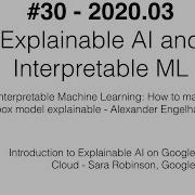 Hacking Machine Learning Munich 30 2020 03 Explainable ML