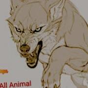 All Animal Full Multifandom MEP