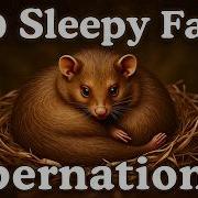 The Most Relaxing Facts About Hibernation To Fall Asleep To
