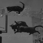 Dali Atomicus Philippe Halsman OneShot
