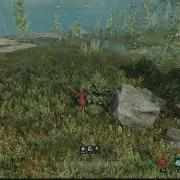 Encumbered Movement Glitch New World