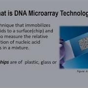 DNA Microarray Technology