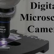 Digital Microscope Camera