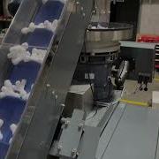 Counting 1 Large Plastic Part Into A Bag BMIV 5 Gate Counter With C295 Bagger