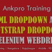 Selenium With C 21 Differences Between Handling HTML Dropdown And Bootstrap Non Select Dropdown