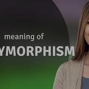 Polymorphism What Is POLYMORPHISM Meaning