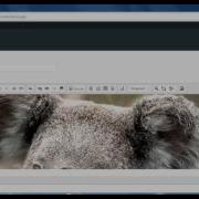 Drupal Uploading Files