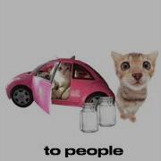 We Need Cash Break It Down Cute Cat Version Tally Hall AnonyMous