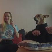 Vitamin String Quartet I Don T Care Vitamin String Quartet Performs Ed Sheeran
