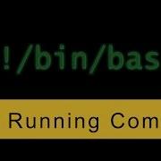 Kill A Running Command Ctrl C Bash Scripting