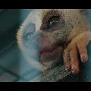 First Do No Harm Trailer