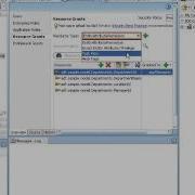 Extending ADF Framework Security With Resource Permissions