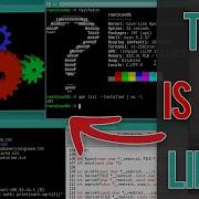 I Made This Graphical OS From Scratch NOT Linux